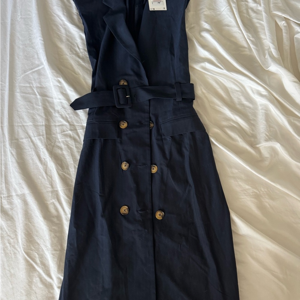 Zara Navy Double-Breasted Midi Dress
